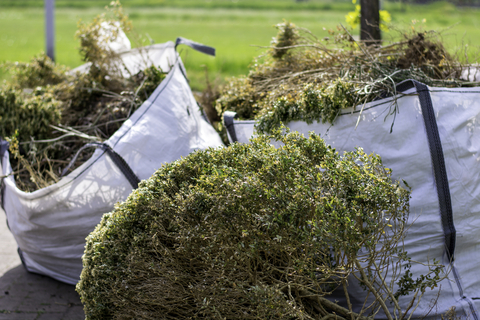 Reigate garden clearance