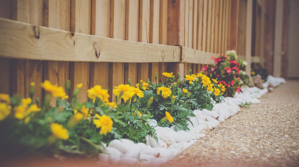 Reigate garden fence